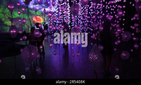 Houston, USA. 31st May, 2023. Pixel Forest and Worry Will Vanish, presentations by Swiss artist Pipilotti Rist, are on display at the Museum of Fine Arts, Houston, Texas, the United States, on May 31, 2023. The exhibition Pipilotti Rist: Pixel Forest and Worry Will Vanish is held here from March 12 to Sept. 4. Credit: Xu Jianmei/Xinhua/Alamy Live News Stock Photo