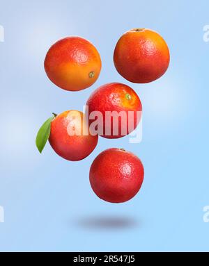 Many tasty Sicilian oranges falling on pale light blue background Stock Photo