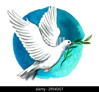 Flying white dove with olive branch. Hand-drawn ink and watercolor on paper Stock Photo