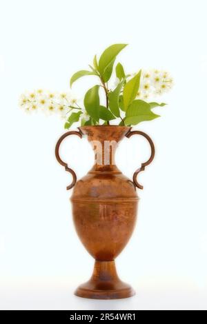 Brass vase with blooming with bird cherry branch Stock Photo