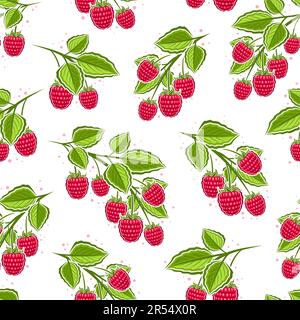 Vector Raspberry Branches seamless pattern, square repeat background with illustrations of raspberries still life composition for wrapping paper, coll Stock Vector