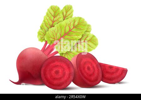 Beetroot isolated on white background. Fresh red beetroot whole, half, quarters and slices with leaves. Realistic 3d vector illustration of vegetarian Stock Vector