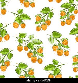 Vector Yellow Raspberry Branches seamless pattern, repeat background with illustration of raspberries still life composition for wrapping paper, colle Stock Vector