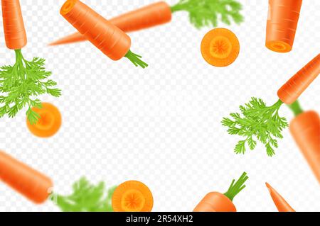 Falling carrots isolated on transparent background. Flying whole and sliced vegetable with blurry effect. Can be used for advertising, packaging, bann Stock Vector