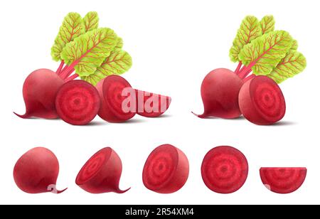 Beetroots isolated on white background. Fresh red beetroot whole, half, quarters and slices with leaves. Realistic 3d vector illustration of vegetaria Stock Vector