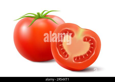 Set of tomatoes isolated on background. Vector illustration. Whole, slice, half of a tomato fruit. Stock Vector