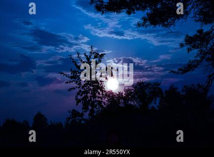 Moonrise in the sky with clouds on the outskirts of the forest. Night summer landscape. Stock Photo