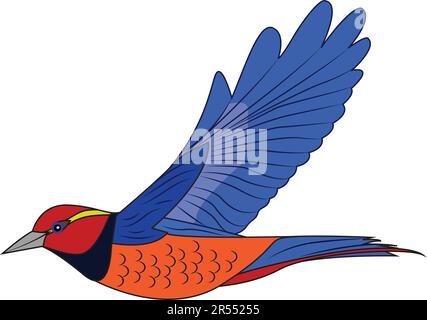 Multi-Colored Bird Soaring with Grace and Beauty in Wildlife Setting Stock Vector