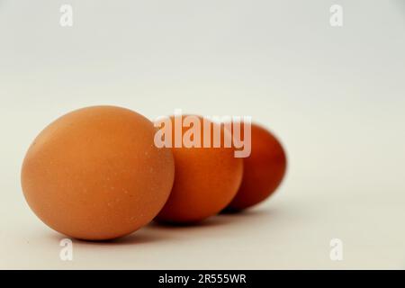 Three shades of colour of eggs photographed in white background Stock Photo