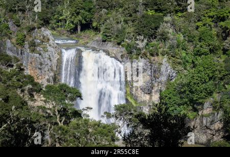 The Hunua Falls are on the Wairoa River in the Auckland Region of New Zealand. Stock Photo