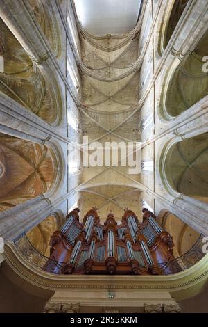 Ribbed Ceiling & Isnard Organ (1772-74) in the Basilca of Mary Magdalene (c13-16th) or Church in Saint-Maximin-la-Sainte-Baume Maximin Provence France Stock Photo