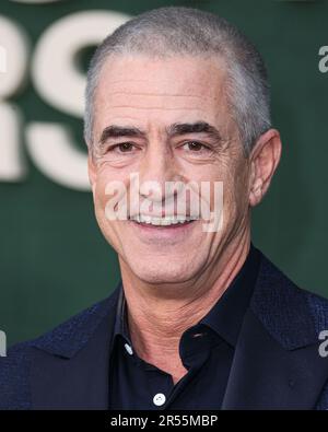 WESTWOOD, LOS ANGELES, CALIFORNIA, USA - MAY 31: American actor Dermot Mulroney arrives at the Los Angeles Premiere Of Peacock's 'Shooting Stars' held at the Regency Village Theatre on May 31, 2023 in Westwood, Los Angeles, California, United States. (Photo by Xavier Collin/Image Press Agency) Stock Photo