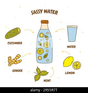 Sassy water recipe. Ingredients for the detox drink. Lemon and cucumber, ginger and mint leaves. Healthy cool drink, vitamin refreshing water. Colorfu Stock Vector