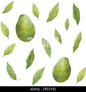 Watercolor seamless pattern with illustration of appetizing green hass avocados and leaves on white background. Stock Photo