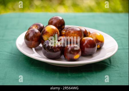 fresh cherry tomatoes of different varieties on a plate on the blurred background, close-up Stock Photo