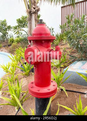 close up of a large red fire hydrant. Stock Photo