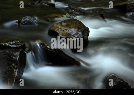 Melincourt Brook just below Melincourt Falls. Stock Photo