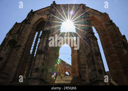 Zerbst, Germany. 01st June, 2023. The ruins of St. Nicolai in the city center. The building was severely damaged during the Second World War and exists today as a secured ruin with an open nave. Credit: Jan Woitas/dpa/Alamy Live News Stock Photo