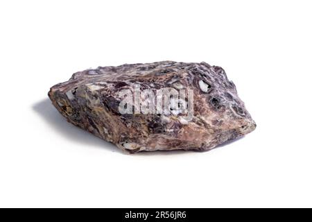 Pelitic Schist Rock isolated on White Background close up Stock Photo