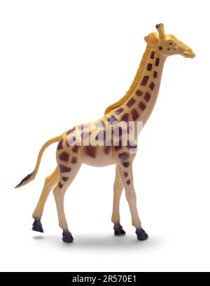 Plastic Giraffe Toy Cut Out on White. Stock Photo