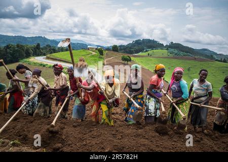 Rwanda. surrounding of Kibuye. peasants at work Stock Photo