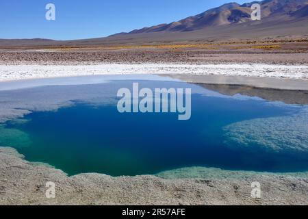 Argentina. Salta region. Tolar Grande Ojos del Mar Stock Photo