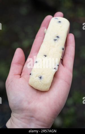 Melonpan hi-res stock photography and images - Alamy