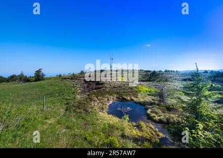 View over the hornisgrinde plateau to the Transmission mast and wind turbine, Black Forest. Baden Wuerttemberg, Germany, Europe Stock Photo