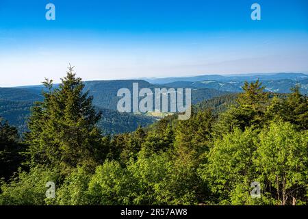 View from Hornisgrinde over the Northern Black Forest . Baden-Wuerttemberg, Germany, Europe Stock Photo