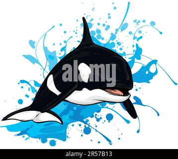 Killer Whale jumping out of water vector illustration isolated on white ...
