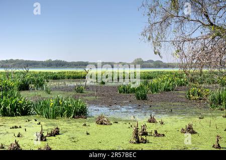 Lake Laguna de las Gaviotas in Buenas Aires, Argentina Stock Photo