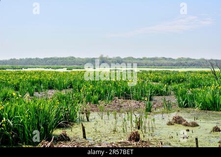 Lake Laguna de las Gaviotas in Buenas Aires, Argentina Stock Photo