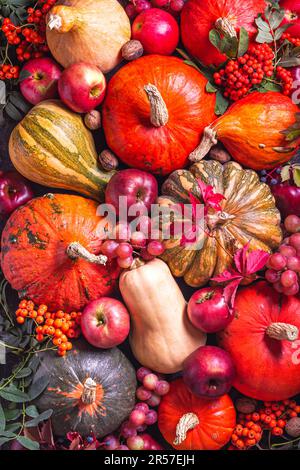 Autumn background with seasonal fruits and vegetables, top view, flat lay. Happy Thanksgiving concept Stock Photo