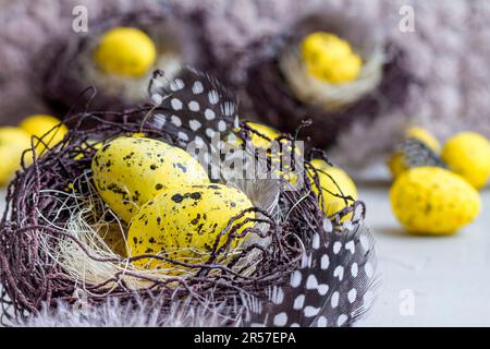 Holiday still life with decorative quail eggs in a brown nest among feathers. Easter decor with selective focus Stock Photo