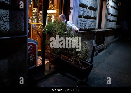 Italy, Roma, 2022-04-15. Tourism through the city of Rome, the Italian capital, with its monuments and archaeological sites. Italie, Rome, le 2022-04- Stock Photo