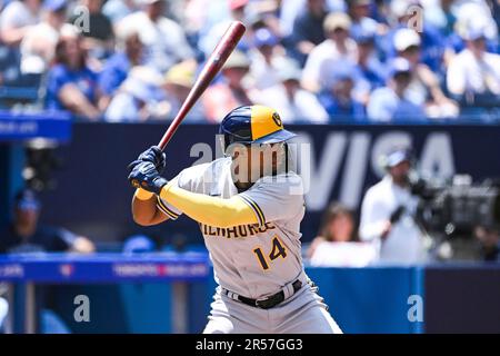 TORONTO, ON - JUNE 01: Milwaukee Brewers Catcher William Contreras (24)  waits for a pitch during the Milwaukee Brewers versus the Toronto Blue Jays  game on June 01, 2023, at Rogers Centre