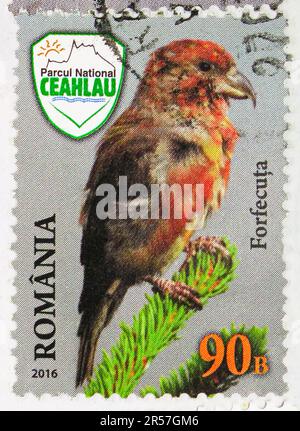 MOSCOW, RUSSIA - MAY 17, 2023: Postage stamp printed in Romania shows Red Crossbill (Loxia curvirostra), Love Nature! Ceahlau National Park serie, cir Stock Photo