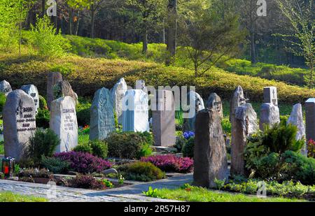 Graves in the Maulbronn Forest Cemetery Stock Photo