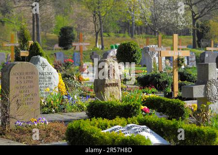 Graves in the Maulbronn Forest Cemetery Stock Photo