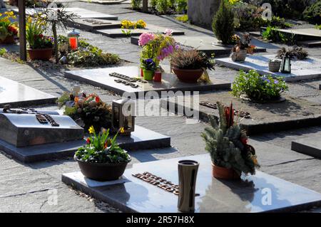 Graves in Maulbronn forest cemetery, urn graves, grave slabs Stock Photo