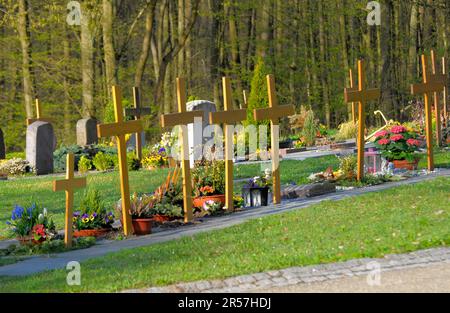 Graves in the Maulbronn forest cemetery, urn graves Stock Photo