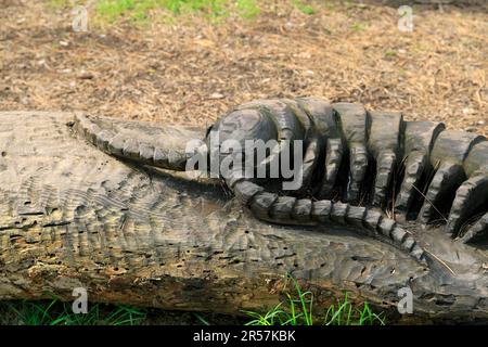 Giant wooden Centipede sculpture, the Arboretum, Bute Park, Cardiff. Stock Photo