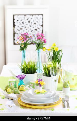 Place setting for Easter with daffodil and fresh green grass Stock Photo