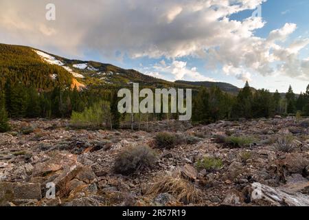 Grois hi-res stock photography and images - Alamy