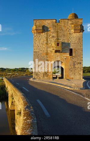 Carbonniere Tower, Aigues-Mortes, Gard, Languedoc-Roussillon, Tour Carbonniere, Petit Camargue, Coal Tower, France, Europe Stock Photo