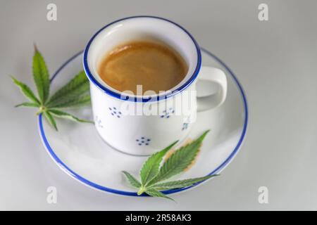 Marijuana light green leaf on blue white cup Stock Photo