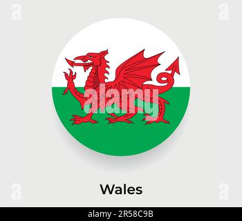 Wales flag bubble circle round shape icon vector illustration Stock Vector