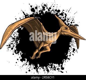 Pteranodon flying dinosaur illustration on white background Stock Vector