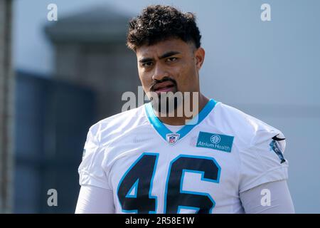 Detroit Lions running back Craig Reynolds (13) looks on against the Carolina  Panthers during a preseason NFL football game Friday, Aug. 25, 2023, in  Charlotte, N.C. (AP Photo/Jacob Kupferman Stock Photo - Alamy