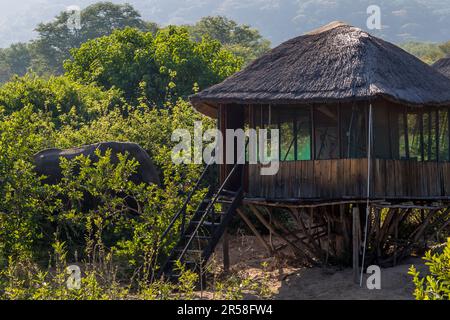 Chalet at Kutchire Lodge in Liwonde National Park. Nature experience where animals come close to the accommodation. On the grounds of Kutchire Lodge, located in the National Park, all wild animals have free access. Liwonde National Park, Malawi Stock Photo